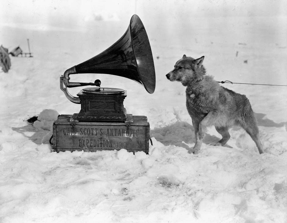 Dog and gramophone
