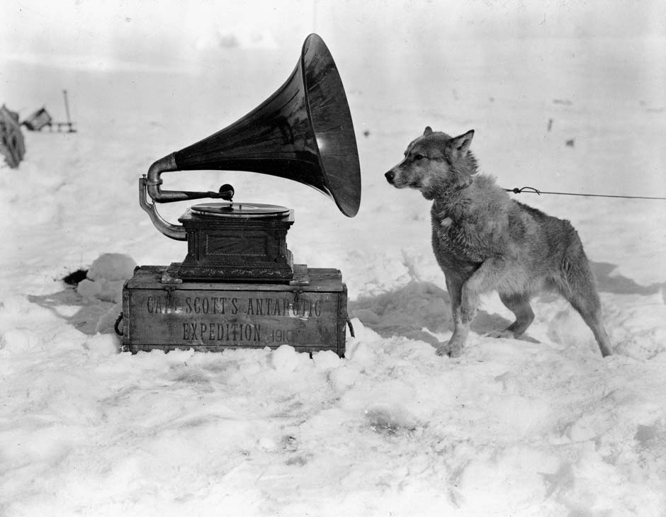 Dog and gramophone